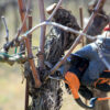 La potatura del vigneto Aglianico del Taburno